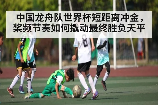 中国龙舟队世界杯短距离冲金,桨频节奏如何撬动最终胜负天平